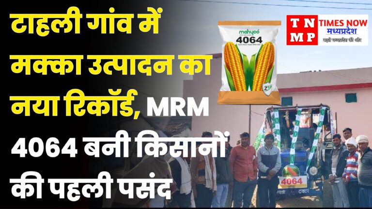 बैतूल : टाहली गांव में मक्का उत्पादन का नया रिकॉर्ड, MRM 4064 बनी किसानों की पहली पसंद