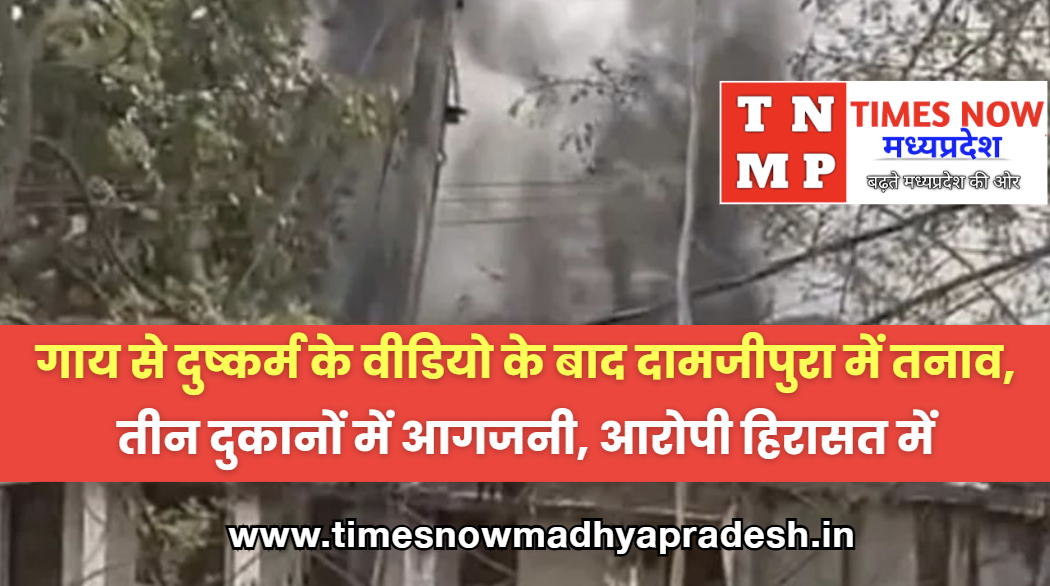 timesnowmadhyapradeshbetulnews